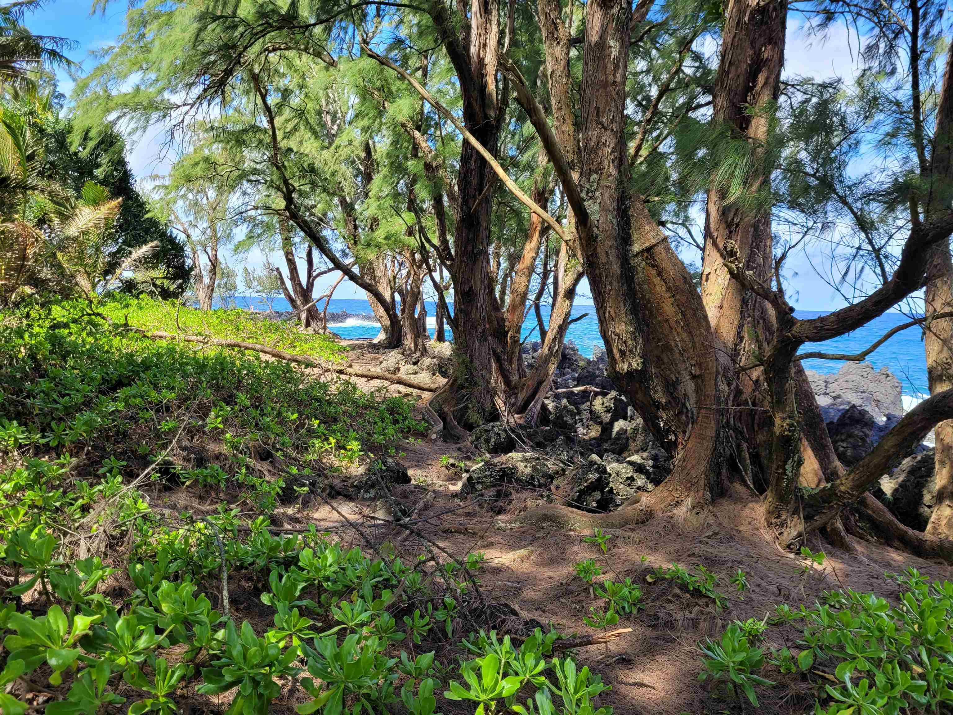 Keanae Road, Unit 12 Hana, HI 96713 - Photo 44 of 50