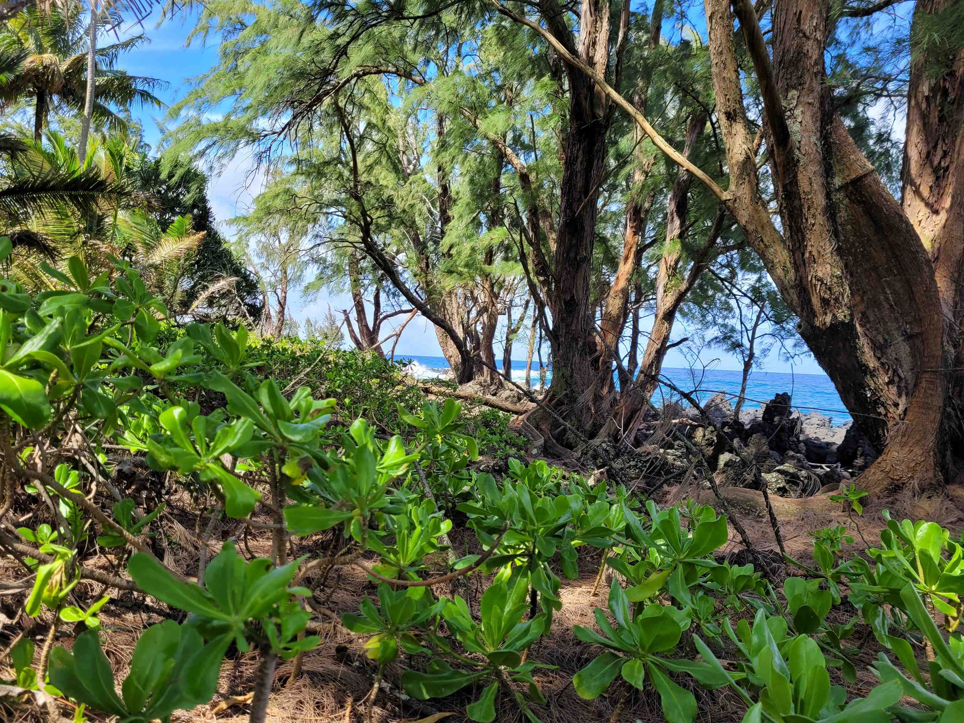 Keanae Road, Unit 12 Hana, HI 96713 - Photo 45 of 50