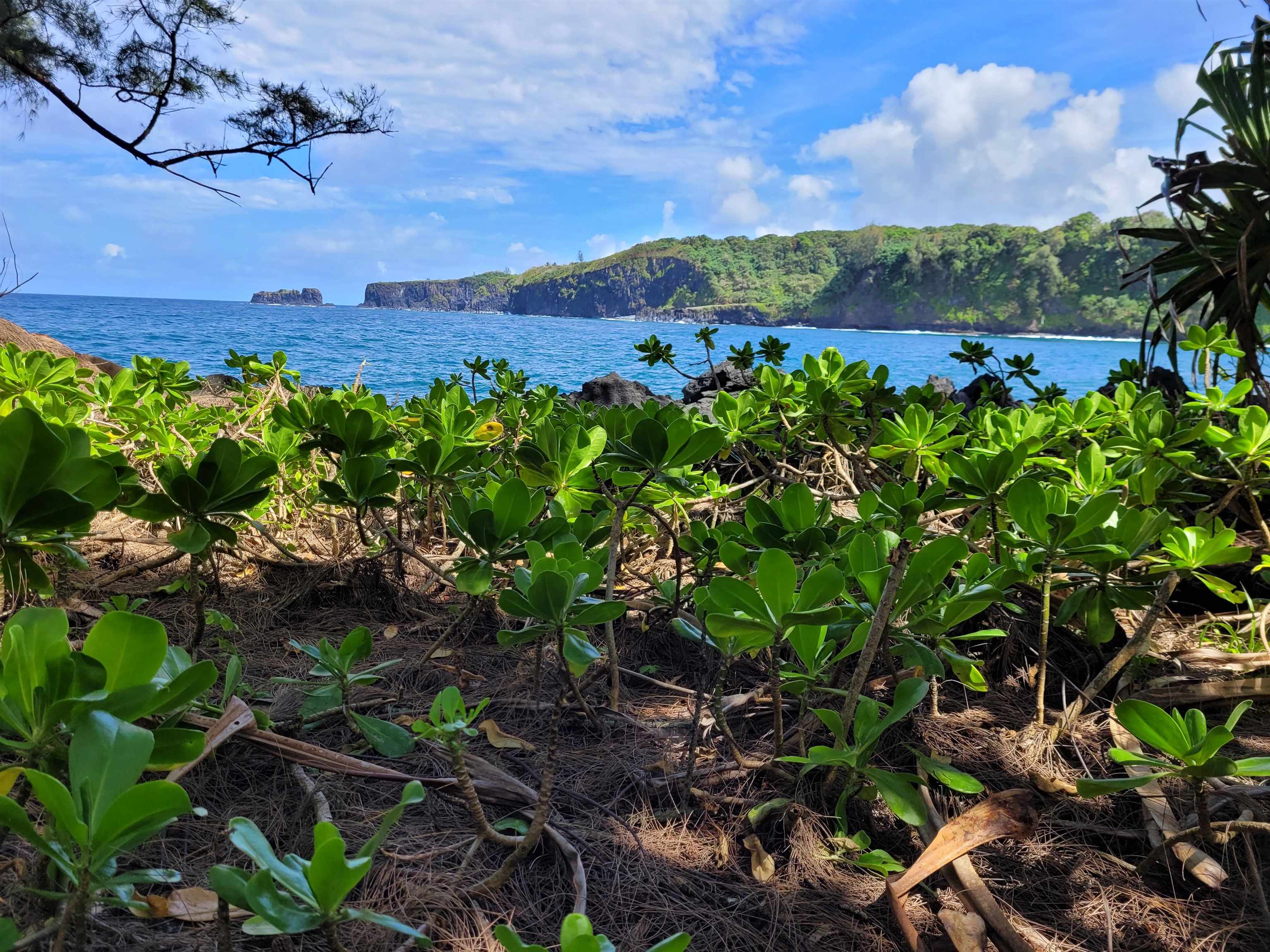 Keanae Road, Unit 12 Hana, HI 96713 - Photo 46 of 50