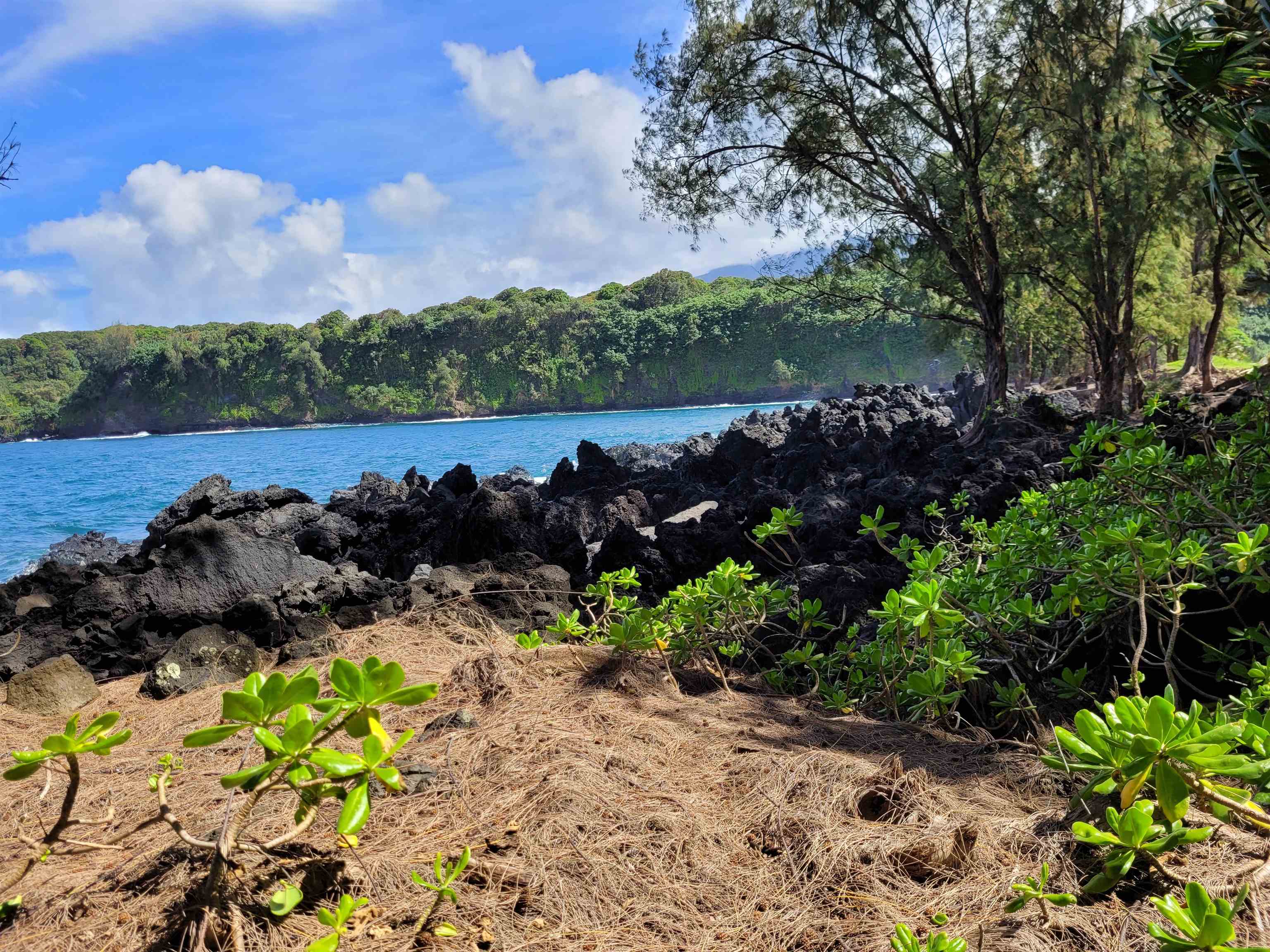 Keanae Road, Unit 12 Hana, HI 96713 - Photo 47 of 50