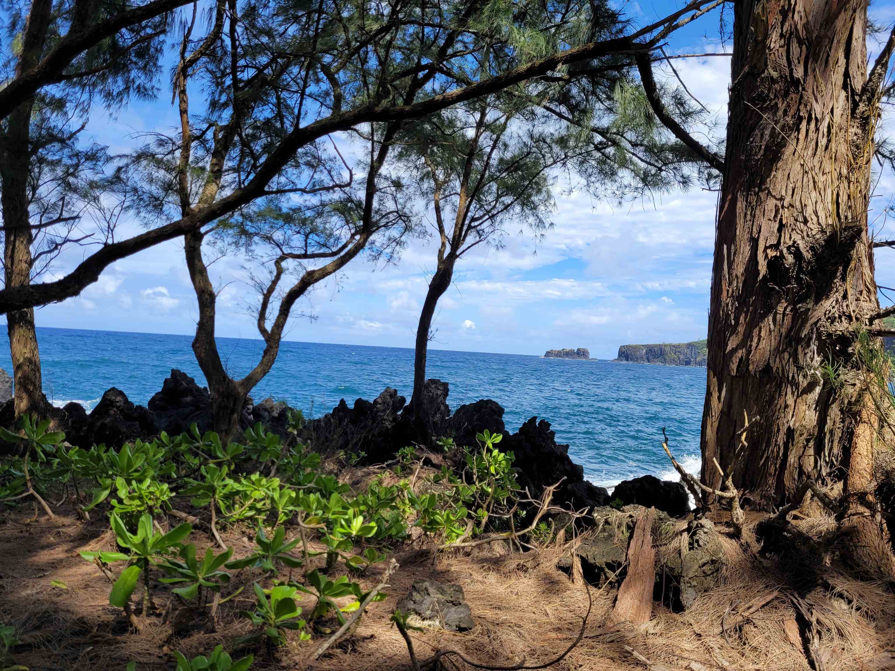 Keanae Road, Unit 12 Hana, HI 96713 - Photo 48 of 50