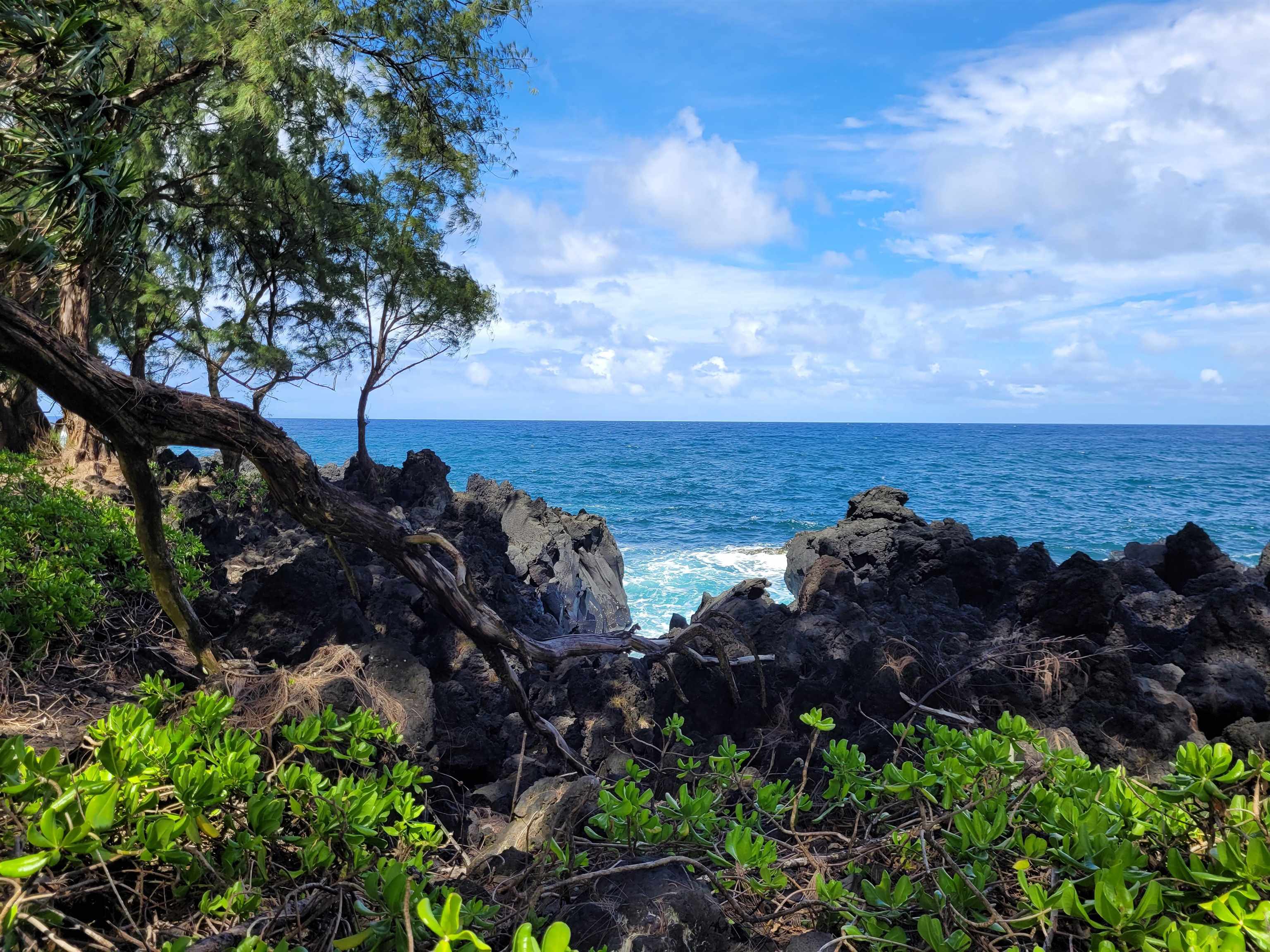 Keanae Road, Unit 12 Hana, HI 96713 - Photo 49 of 50