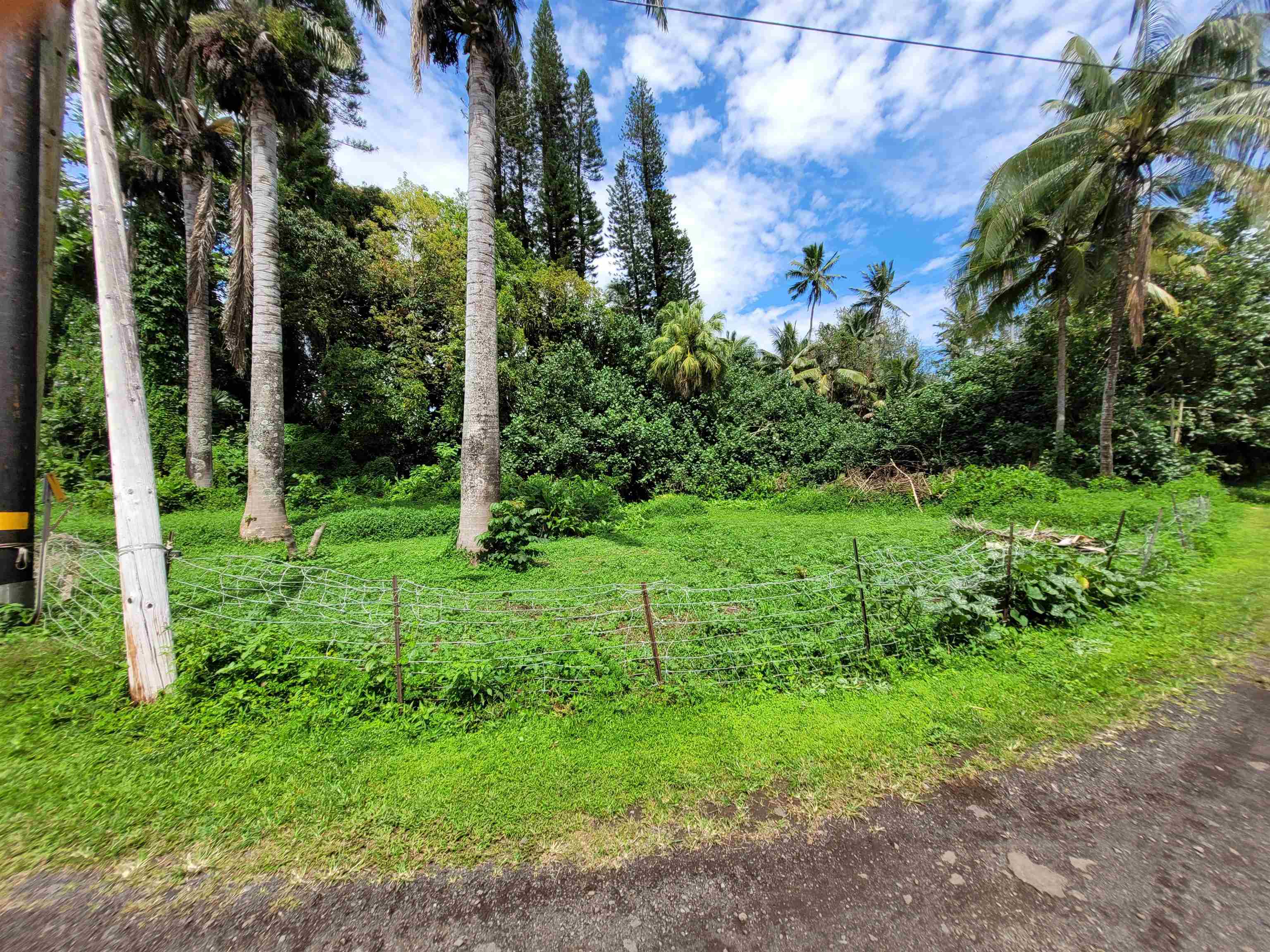 Keanae Road, Unit 12 Hana, HI 96713 - Photo 6 of 50