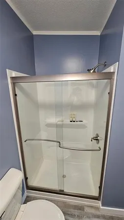 a bathroom with a shower and toilet