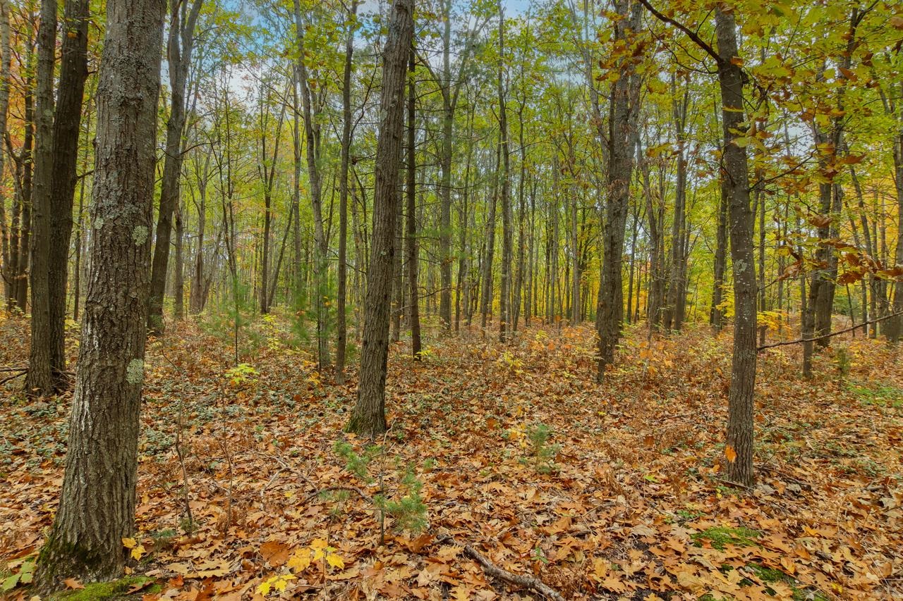 Parcel A Riley Road Interlochen, MI 49643 - Photo 11 of 16