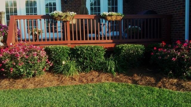 2023 Blue Ribbon Downs Lebanon, TN 37087 - Photo 16 of 20 Beautiful landscaping