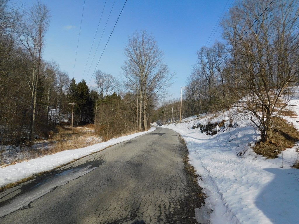 0 Lower Ridge Road James Creek, PA 16657 - Photo 6 of 10 Gallery Image 6