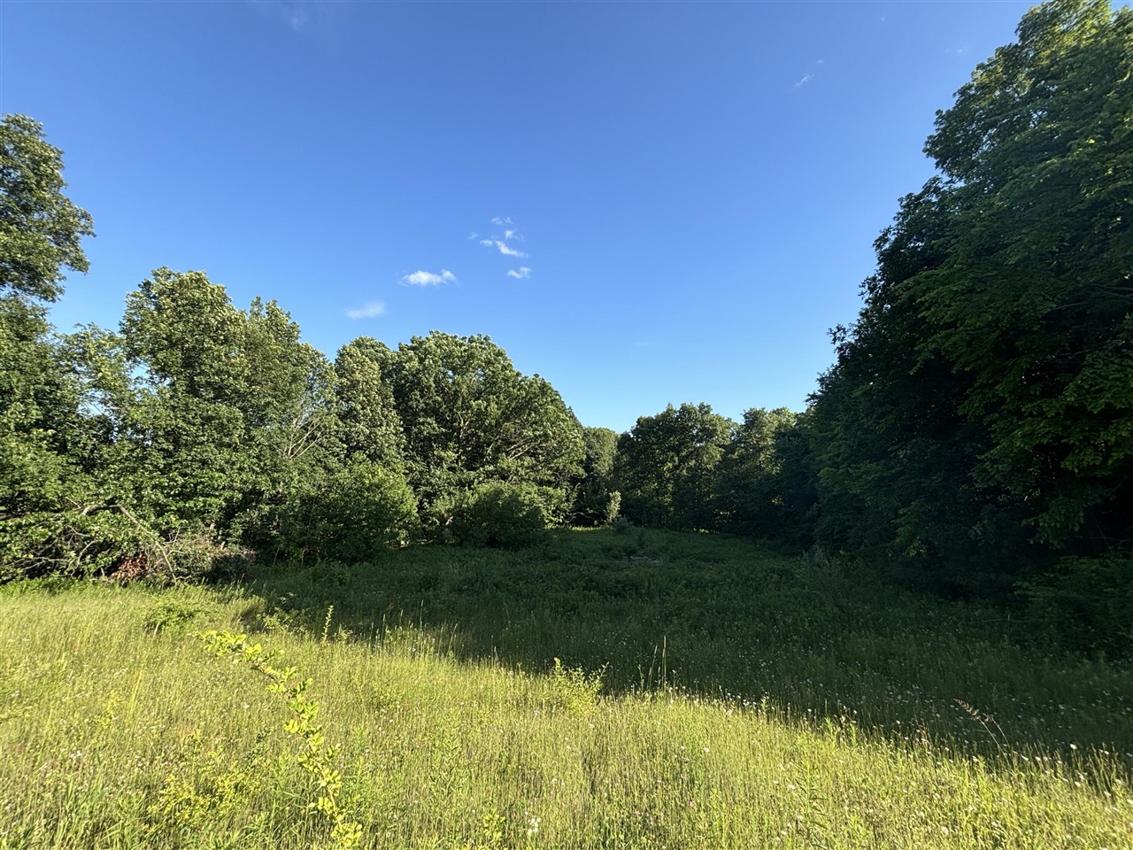 38.14 Northeast A Ne Hayes Road Comstock Park, MI 49321 - Photo 13 of 38