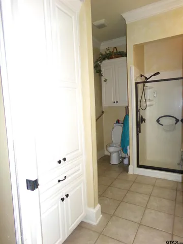 a bathroom with a shower and a toilet