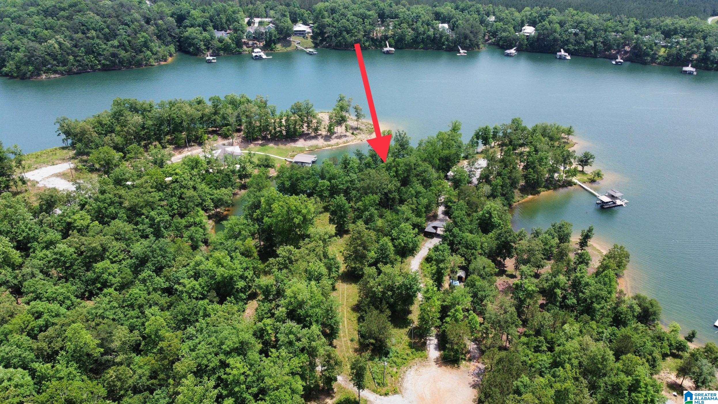 Lot 9 Edgewater Bend Road, Unit 9 Arley, AL 35541 - Photo 6 of 14