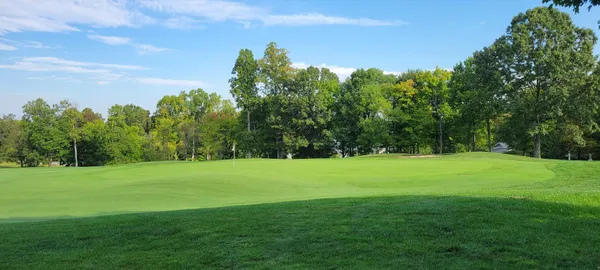 a view of a grassy field with trees