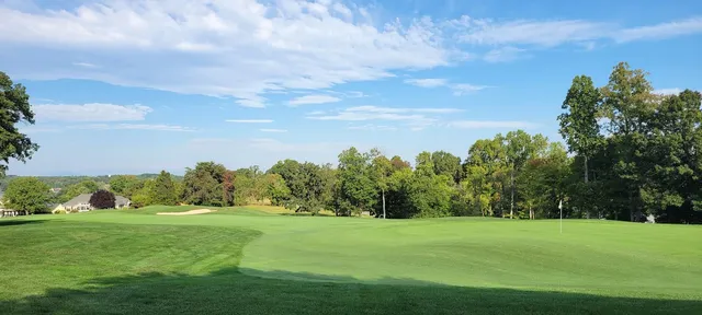 a view of field with trees in the background