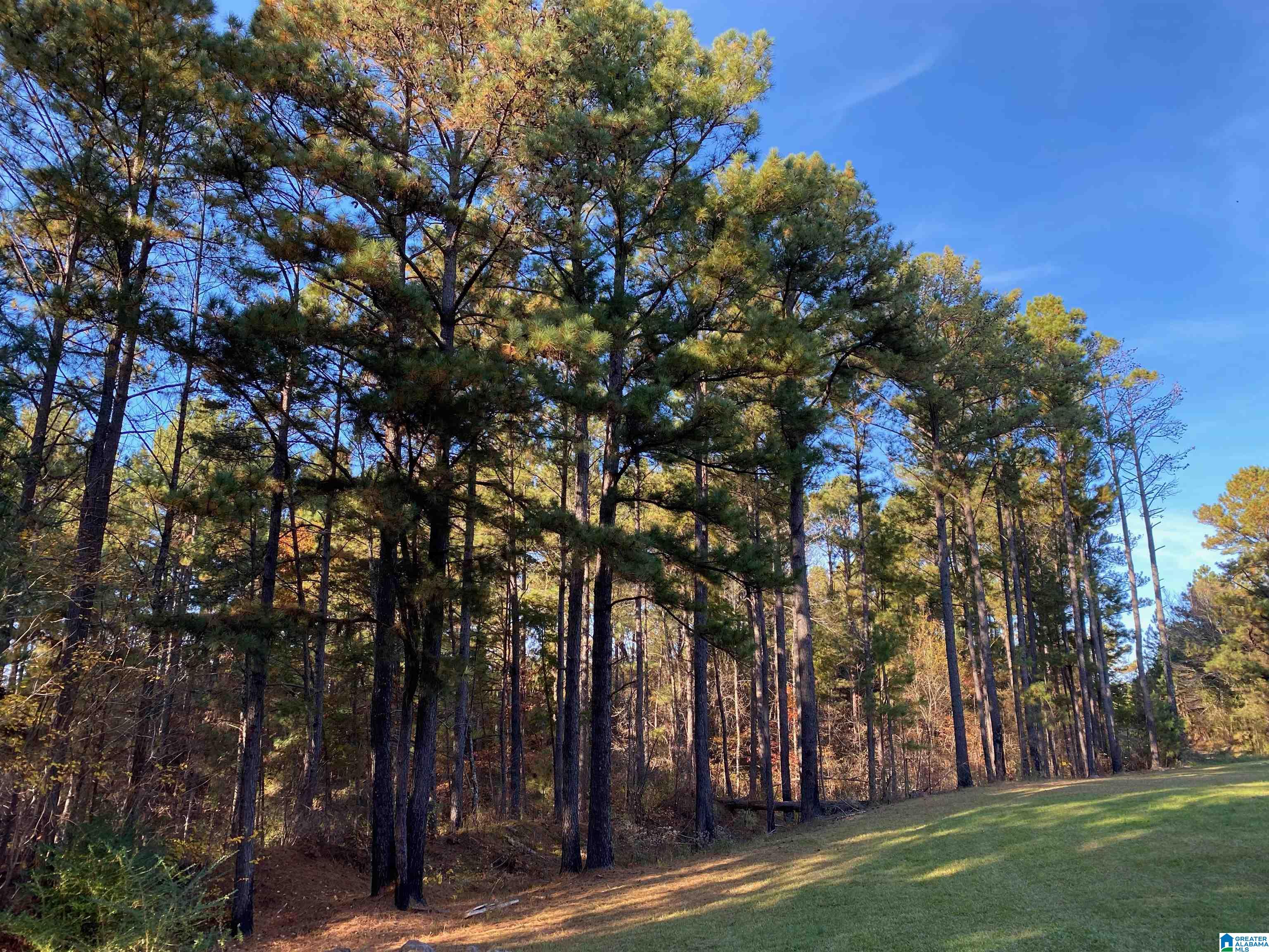 18851 Cattle Ranch Road Brookwood, AL 35444 - Photo 19 of 21