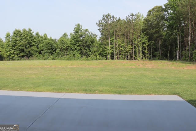 30 Guthrie Road Whitesburg, GA 30185 - Photo 15 of 63
