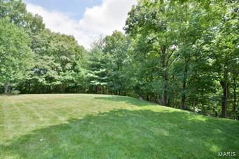 610 Castle Ridge Drive Ballwin, MO 63021 - Photo 3 of 28 Gallery Image 3