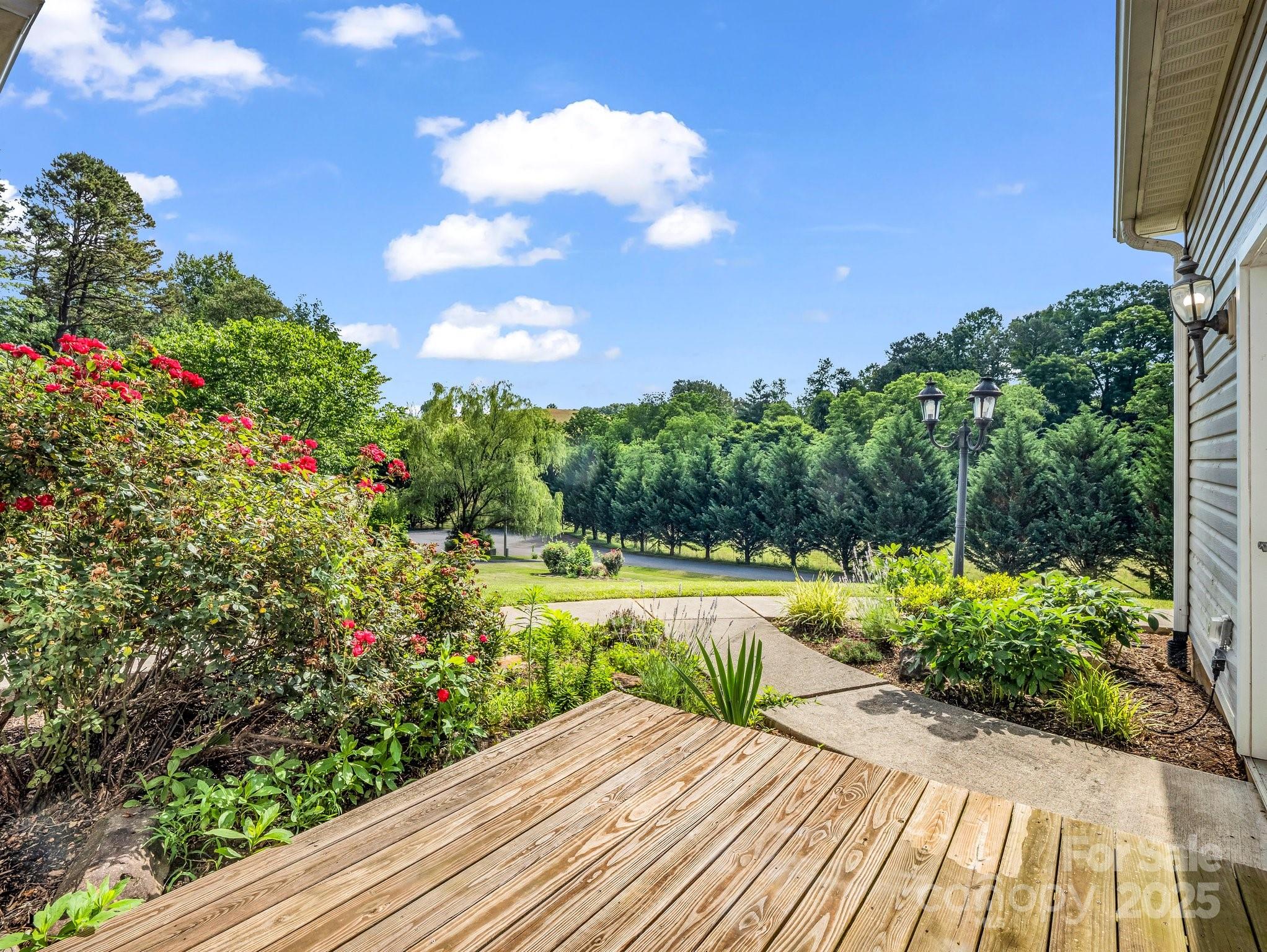 124 Shadow View Drive Leicester, NC 28748 - Photo 36 of 41 a view of a backyard with potted plants