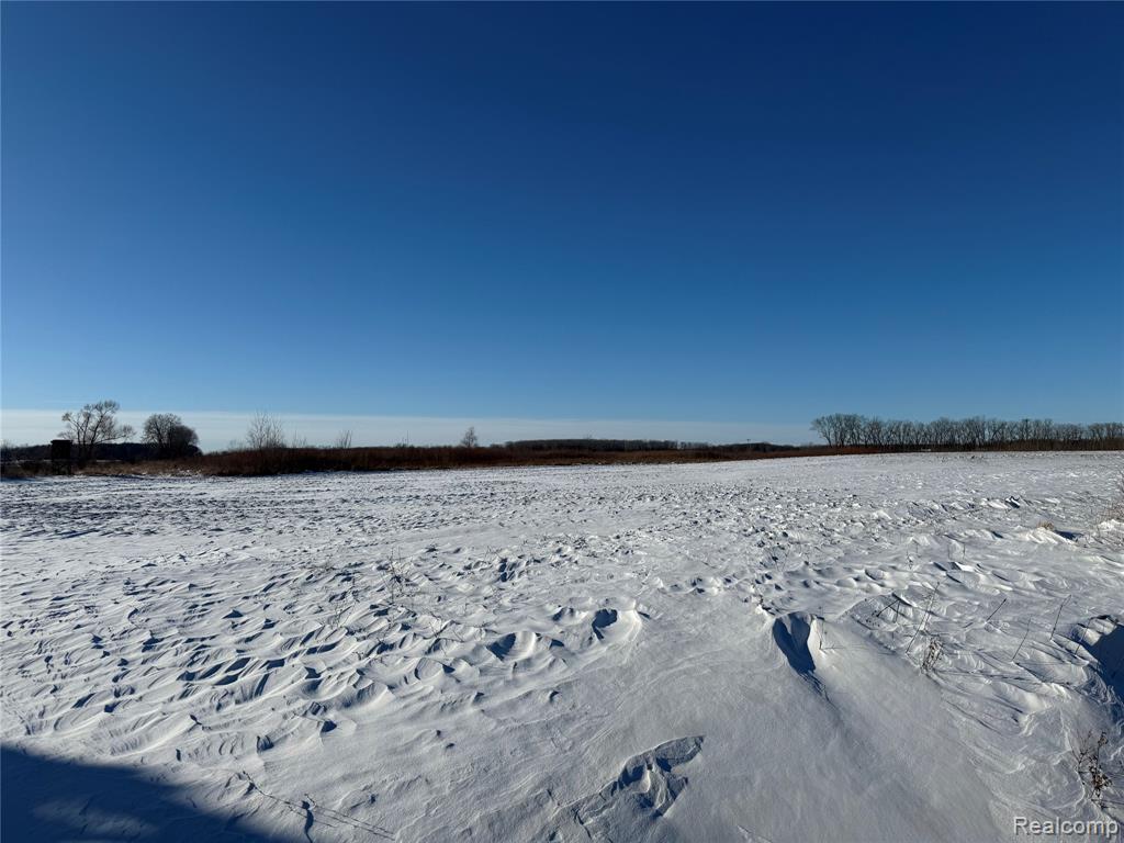 0 Miller Road Capac, MI 48014 - Photo 4 of 5