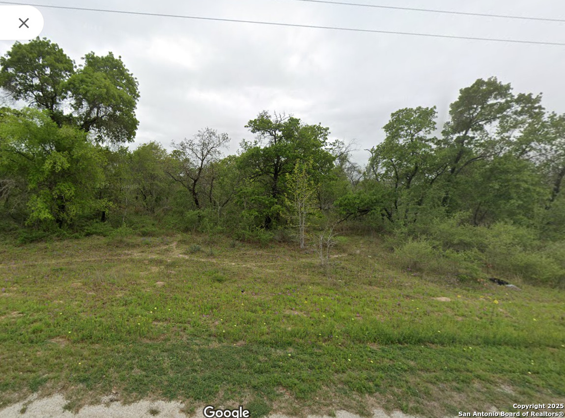 Lot 106 Red Fox Poteet, TX 78065 - Photo 4 of 5