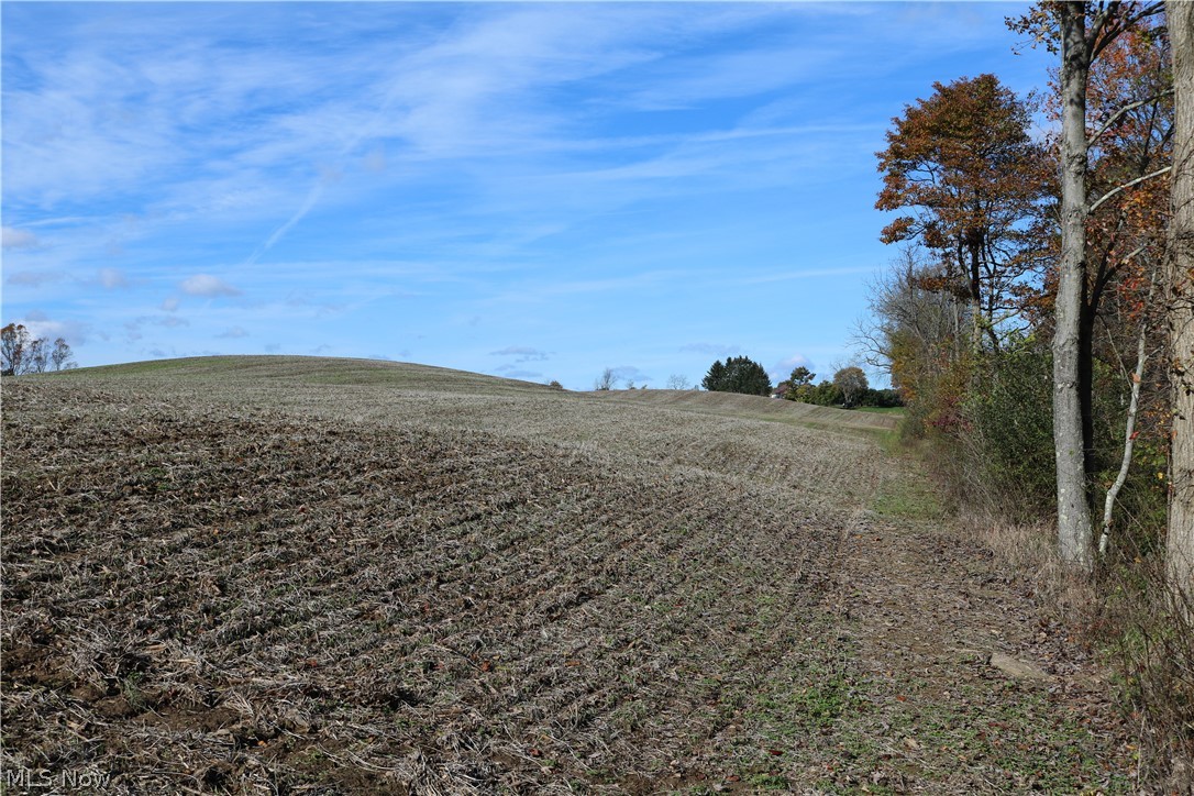 75336 Science Hill Road Newcomerstown, OH 43832 - Photo 18 of 35 Gallery Image 18