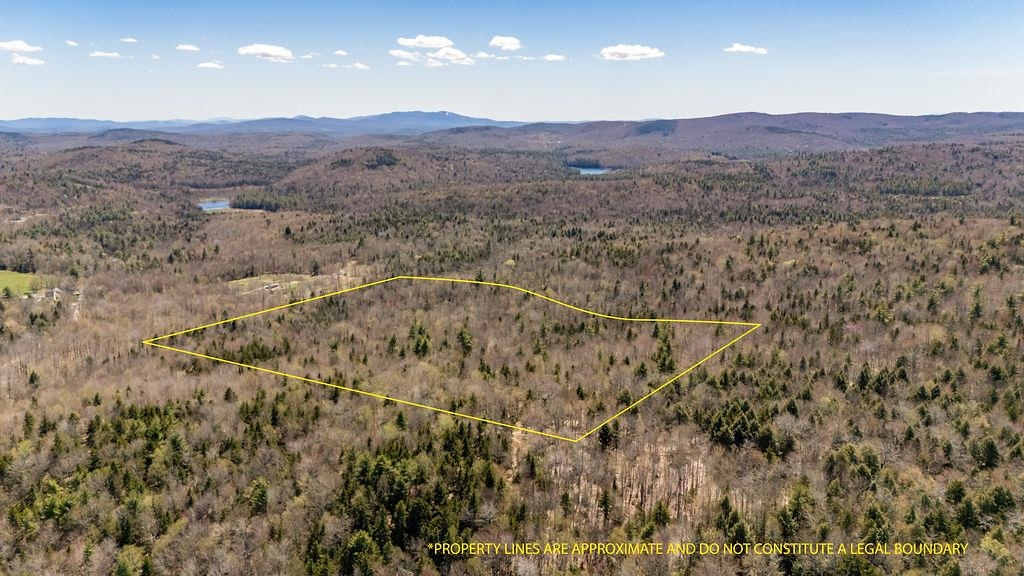 0 Willow View Road, Unit 55 Wilmot, NH 03287 - Photo 1 of 16 Gallery Image 1