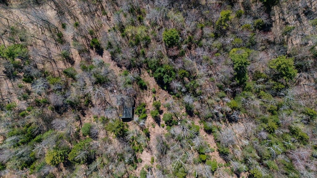 0 Willow View Road, Unit 55 Wilmot, NH 03287 - Photo 14 of 16 Gallery Image 14