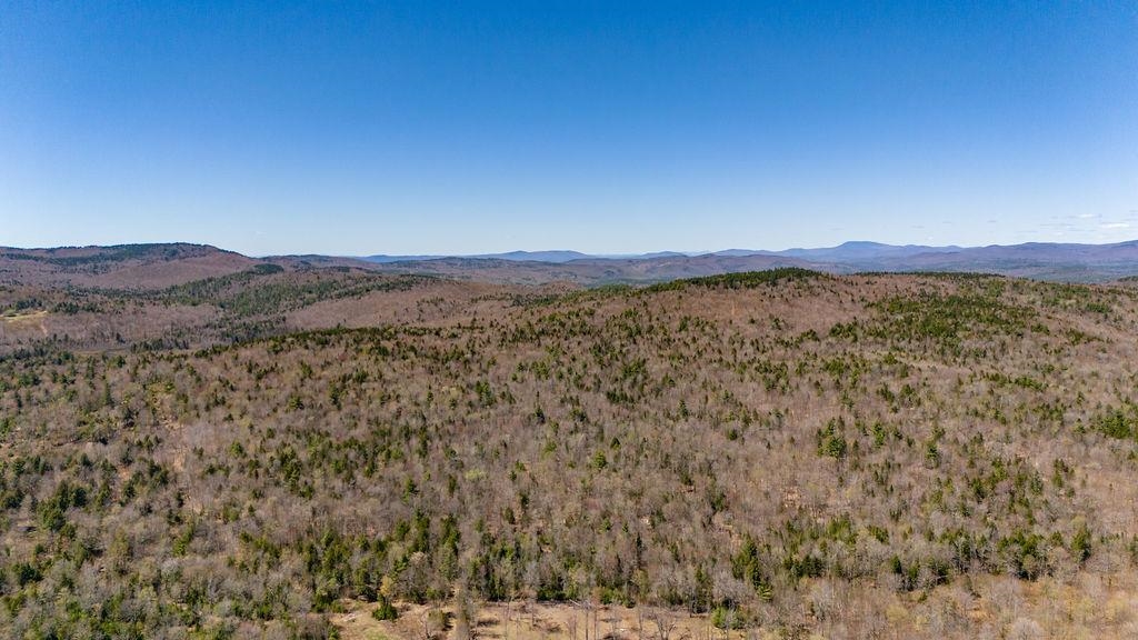 0 Willow View Road, Unit 55 Wilmot, NH 03287 - Photo 3 of 16 Gallery Image 3