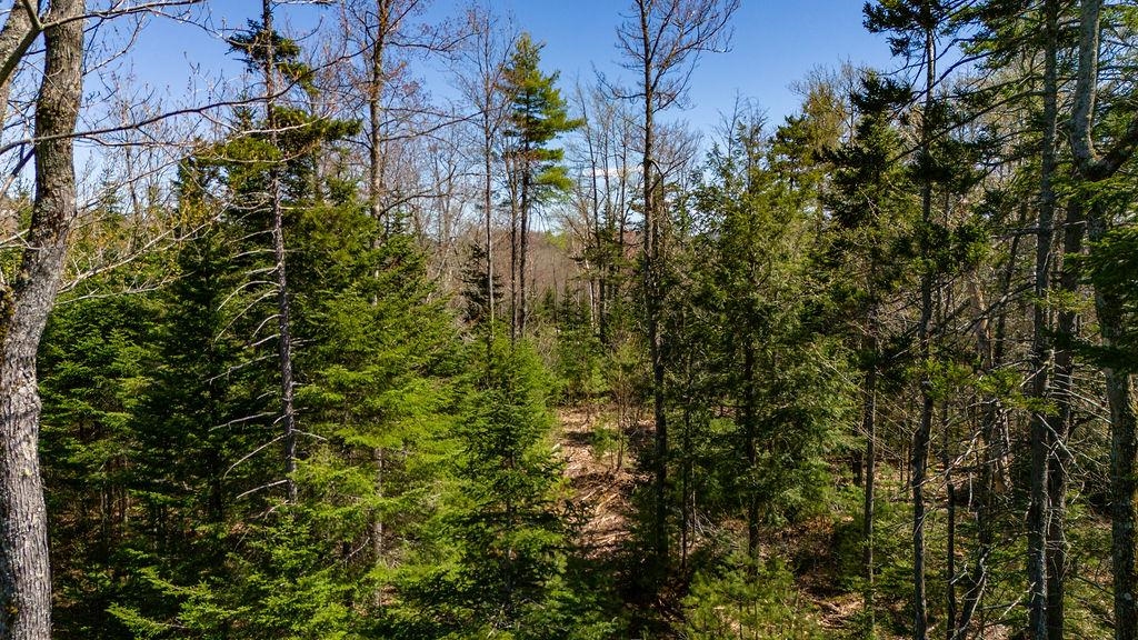 0 Willow View Road, Unit 55 Wilmot, NH 03287 - Photo 8 of 16 Gallery Image 8
