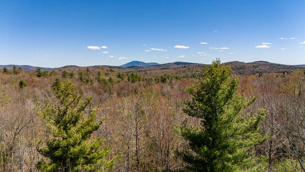 0 Willow View Road, Unit 55 Wilmot, NH 03287 - Photo 10 of 16 Gallery Image 10