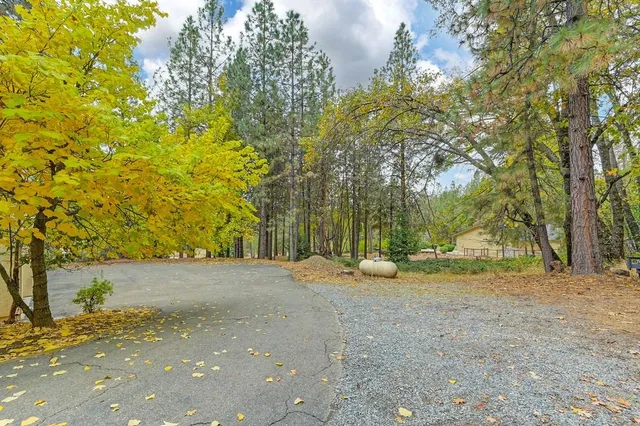a view of a yard with a tree