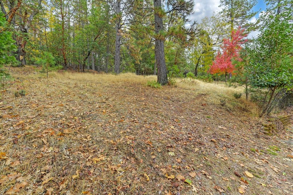 20860 Todd Valley Road Foresthill, CA 95631 - Photo 51 of 78