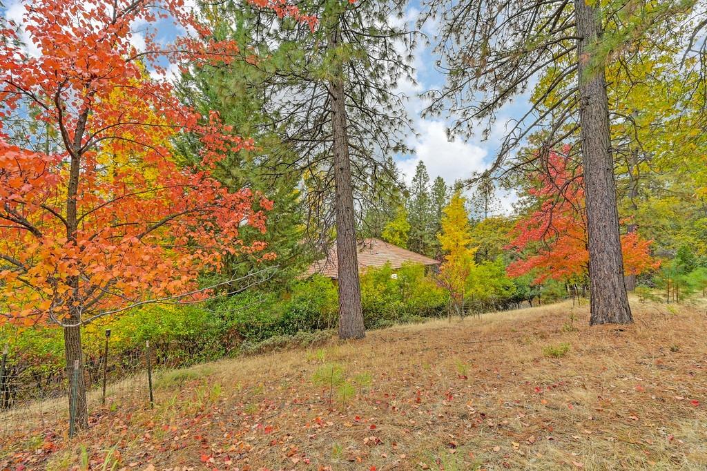 20860 Todd Valley Road Foresthill, CA 95631 - Photo 56 of 78