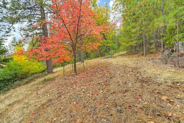 $515,000 | 20860 Todd Valley Road, Foresthill, CA 95631