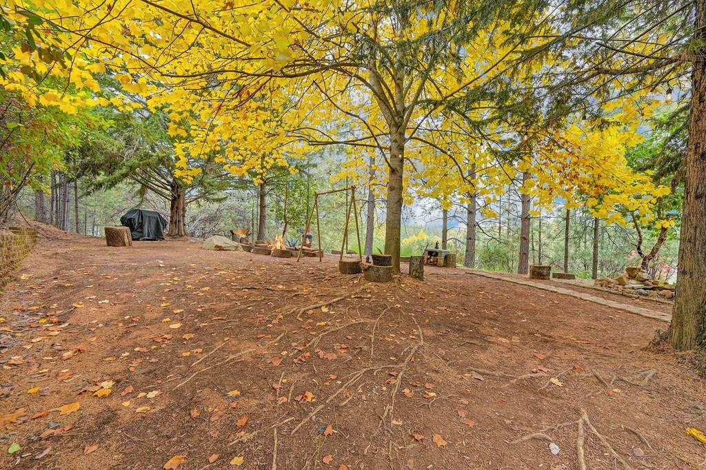 20860 Todd Valley Road Foresthill, CA 95631 - Photo 61 of 78