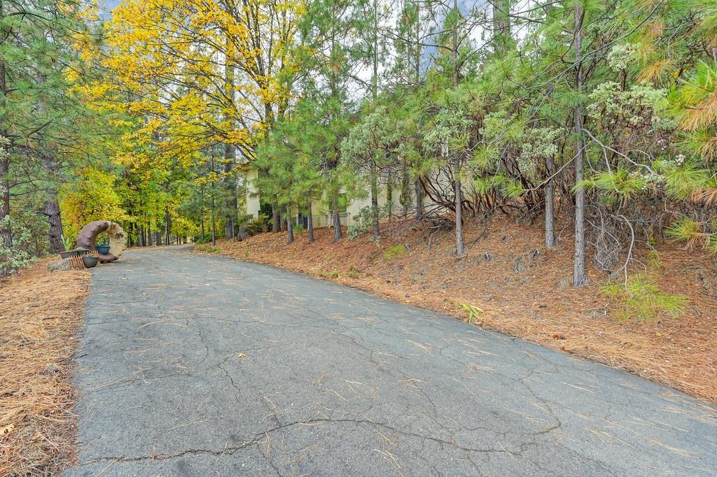 20860 Todd Valley Road Foresthill, CA 95631 - Photo 73 of 78