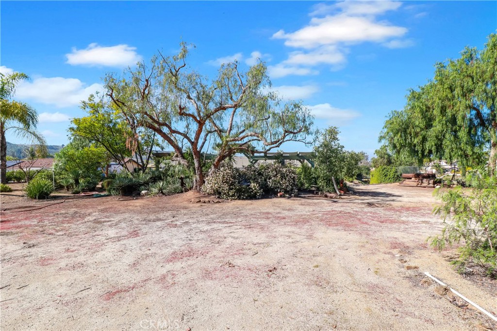 16750 Canyon View Drive Riverside, CA 92504 - Photo 39 of 44