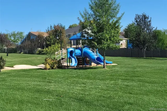 a view of a park with large trees