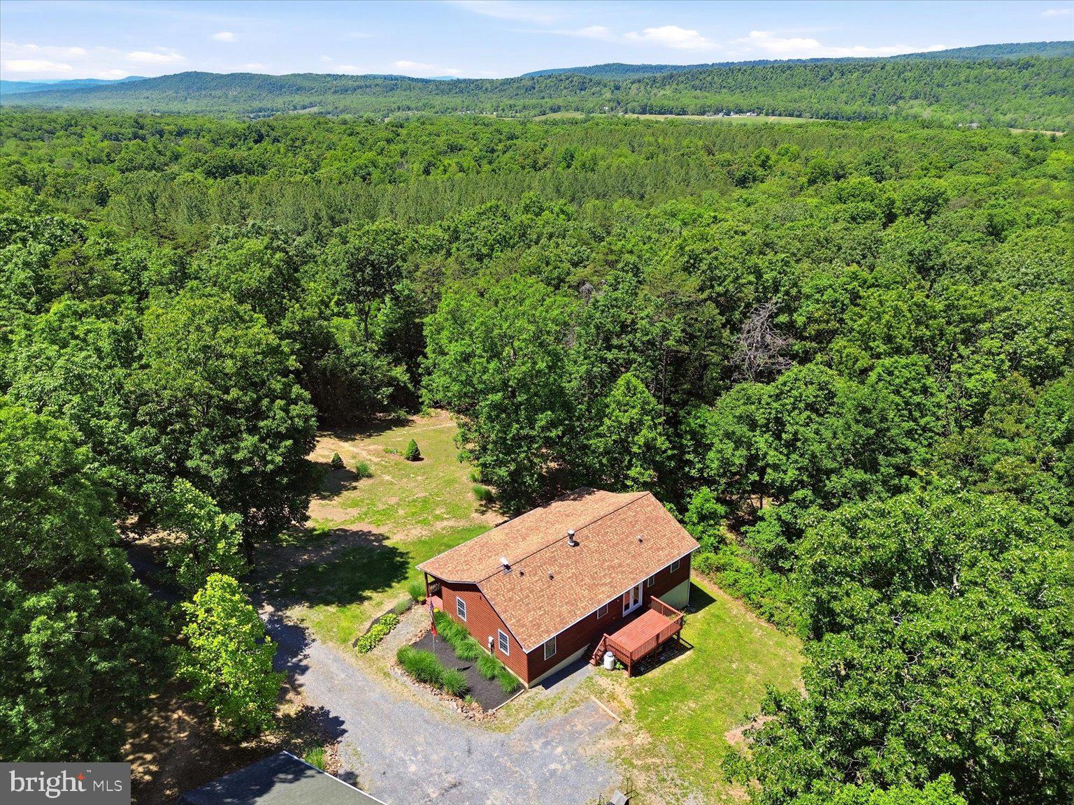 323 South Timber Ridge Road Cross Junction, VA 22625 - Photo 93 of 109 Serene retreat amidst lush greenery.