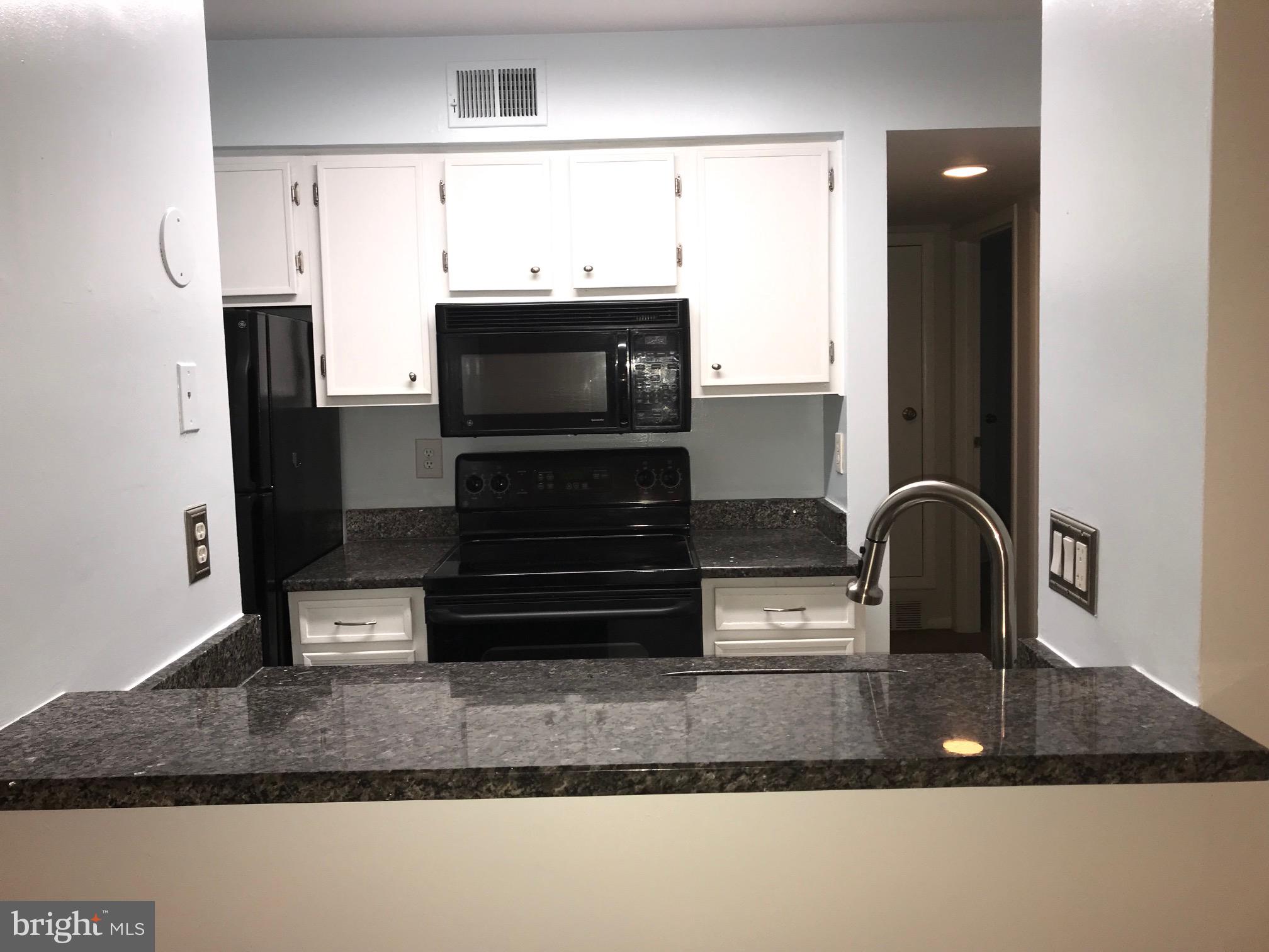 5814 Royal Ridge Drive, Unit M Springfield, VA 22152 - Photo 2 of 14 kitchen
