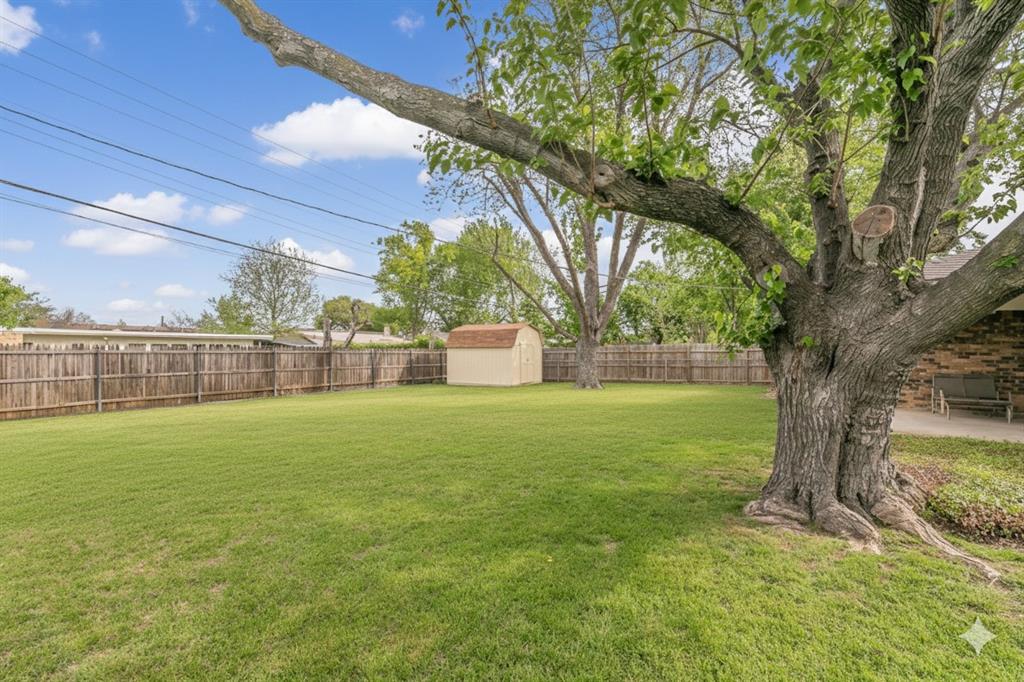 6248 Trail Lake Drive Fort Worth, TX 76133 - Photo 27 of 28 a view of a yard with a large tree