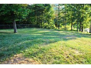 183 Eastern Star Road Kingsport, TN 37663 - Photo 17 of 18 Mature Trees