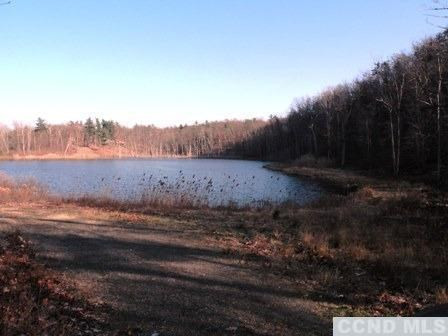 6 Stone Jug Road Taghkanic, NY 12521 - Photo 1 of 9 a view of an outdoor space