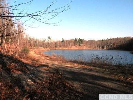 6 Stone Jug Road Taghkanic, NY 12521 - Photo 2 of 9 a view of a yard