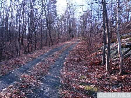 6 Stone Jug Road Taghkanic, NY 12521 - Photo 4 of 9 a view of a forest