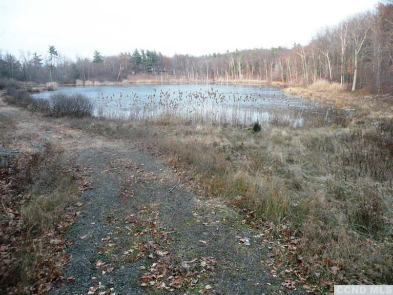 6 Stone Jug Road Taghkanic, NY 12521 - Photo 5 of 9 a view of a field of grass and trees