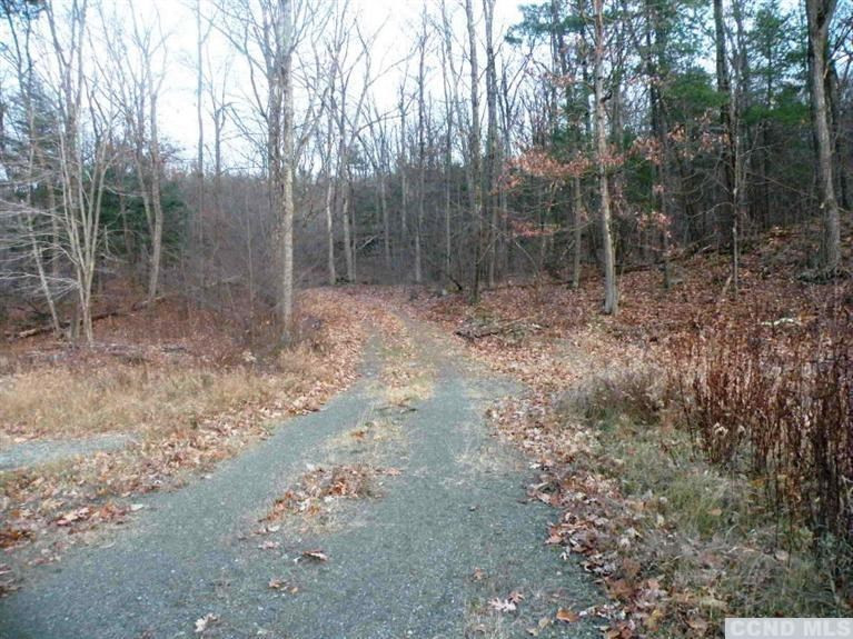 6 Stone Jug Road Taghkanic, NY 12521 - Photo 8 of 9 a view of a forest with trees in the background