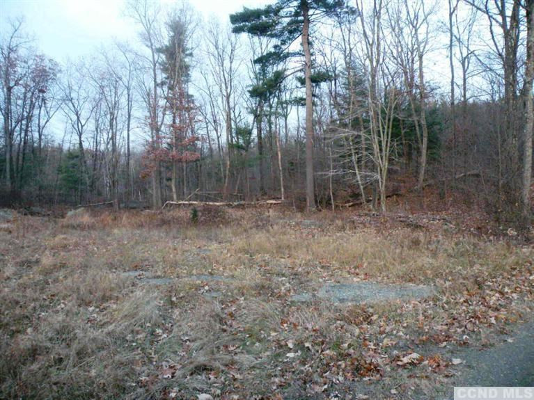6 Stone Jug Road Taghkanic, NY 12521 - Photo 9 of 9 a view of outdoor space and green space