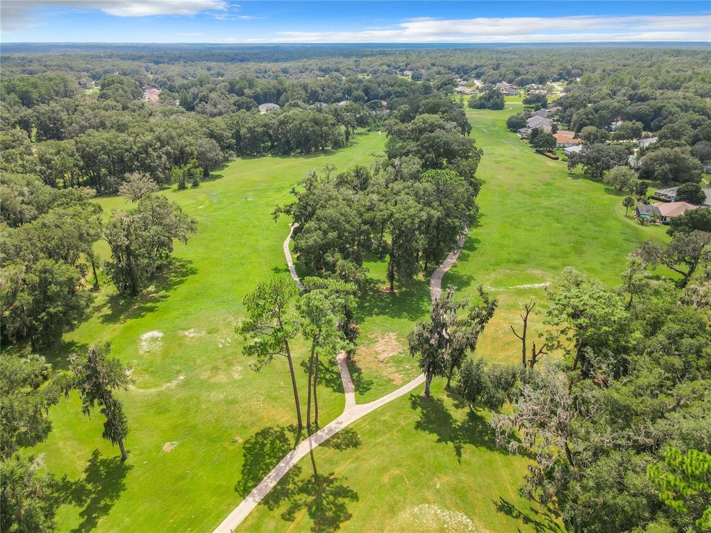 10043 Southwest 202nd Circle Dunnellon, FL 34431 - Photo 6 of 68