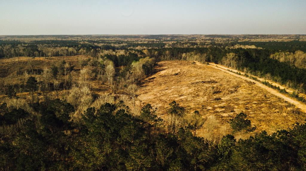 413 Claude Smith Road Tylertown, MS 39667 - Photo 6 of 66 Photo 6