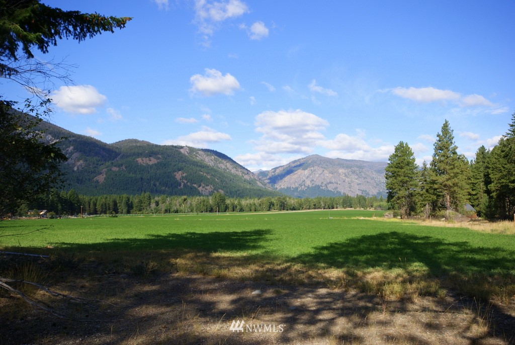 28 Last Chance Road Mazama, WA 98833 - Photo 2 of 15 Gallery Image 2