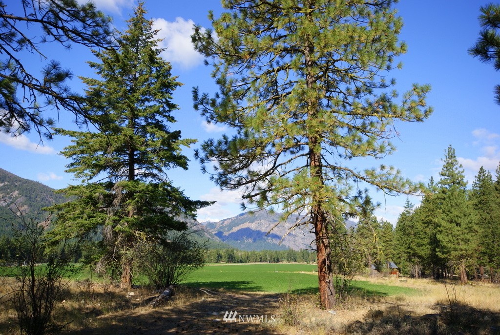 28 Last Chance Road Mazama, WA 98833 - Photo 11 of 15 Gallery Image 11